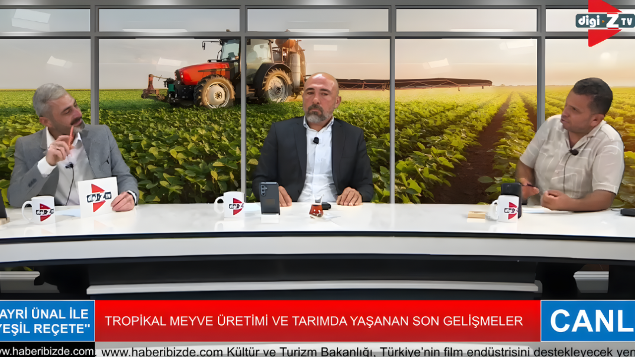 Alanya’da İthal Avokado Tartışmaları Hız Kesmeden Devam Ediyor