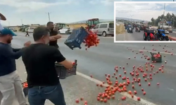 Kahramanmaraş'ta Çiftçiler İsyan Ederek! Kasa Kasa Domatesi Yola Döktüler