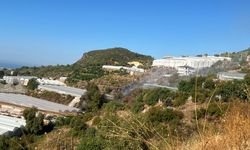 Alanya Toslak Mahallesi'nde Korkutan Yangın: 5 Dekar Sera Zarar Gördü