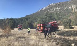 Antalya’nın Akseki İlçesinde Tarım Arazisinde Yangın Çıktı