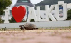 ALKÜ’DEN GREENMETRİC BAŞARISI