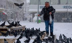 Buz Gibi Havada Yürek Isıtan Görüntü: Güvercinlere Şefkat Eli