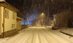 Bilecik Pazaryeri’nde kar yağışı etkili oluyor