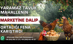 YARAMAZ TAVUK MAHALLENİN MARKETİNE DALIP ORTALIĞI FENA KARIŞTIRDI