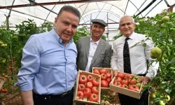IV. Uluslararası FoodFest Gastronomi Festivali domates hasadı ile başladı