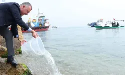 İzmit Körfezi’nde ekosisteme destek! 6 bin balık körfezle buluştu