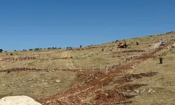 Mardin Artuklu Belediyesi’nden hayvan dostu projeler