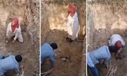 Görüntü Türkiye'den! Hastalıktan Ve Kuduzdan Ölen Köpeklerin Mezarlarını Açmaya Kalktılar