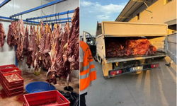 Hepsini Vatandaşa Yedireceklerdi! Tam 3 Ton Bozulmuş Tek Tırnaklı Eti Ele Geçirildi
