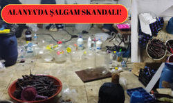Alanya’da Şalgam Skandalı: Hijyensiz Üretim Tespit Edildi