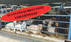 Alanya'da Kurban Satış Yerleri Doldu