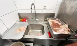 Alanya’da Hijyen Kurallarına Uymayan Restoran Süresiz Mühürlendi