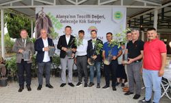 Altso Keçiboynuzunun Tescilini Aldı, 3 Bin Fidan Dağıttı