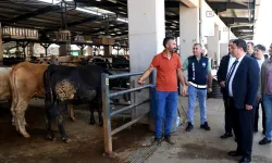 Başkan Aydın kurban pazarını ziyaret etti