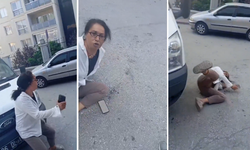 Sokak Köpeği Toplama Krizi: Bayılma Numarası Tepki Topladı