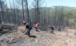 Bursa'da orman yangınlarına OSAD'dan koordineli müdahale
