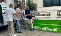 Alanya'da Ev Arkadaşını Başından Vurup Kayıplara Karıştı