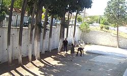 Belediye Başkanı Taş Döşemek İstemeyen Zabıtaları Sopayla Dövdü