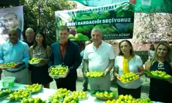 Güzelbahçe’de ‘tatlı’ festival