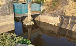 Zabıta affetmedi, doğayı kirletene kesti cezayı
