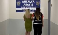 Orman Mühendisinden 8,5 Milyonluk Vurgun!