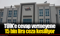 TÜİK Anketine Yanıt Vermeyene 15 Bin TL Ceza Şoku
