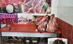 Yumurta Paketinden Hamam Böceği Şoku: Denetimde Skandal Görüntüler