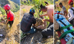 Antalya'da Kayıp Yaşlı Kadın 2 Gün Sonra Evine 300 Metre Mesafedeki Bahçesinde Bulundu