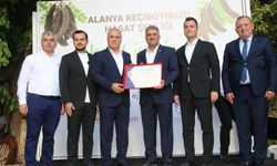 Hasat Şenliği'nden Küresel Pazara: Alanya Keçiboynuzu Artık Bir Dünya Markası