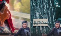 Ağaca Sarıldığı Fotoğrafla Tanınmıştı! 90 Yaşındaki Zehra Nine Yaşamını Yitirdi