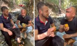 Alanya'da Tropikal Meyve Üretiminde Önemli Bir Adım Daha Atılıyor