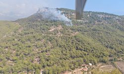 Antalya Kemer’de Orman Yangını: Ekipler Seferber Oldu
