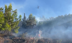 Alanya’da Yangın Kâbusu Devam Ediyor: Yetkililer Açıklamalarda Bulundu
