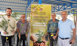 Alanya’da Yaşanan Yangın Felaketinin Ardından 3400 Zeytin Fidanı Bahçe Sahiplerine Dağıtıldı