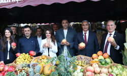 Gazipaşa’nın Çekirdeksiz Nar ve Tropikal Meyve Festivali Coşkuyla Başladı