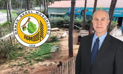 Orman Genel Müdürlüğü’nden Alanya Hayvan Barınağı Projesine Ret