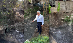 Alanya’nın Mahmutlar Mahallesinde Atık Su Krizi: Muhtar Sonunda İsyan Etti