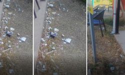 Alanya Eğitim ve Araştırma Hastanesi'nde Tepki Çeken Görüntüler
