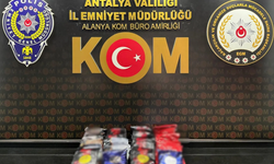 Operasyon Alanya'ya Uzandı: 32 Gözaltı, 6 Tutuklama