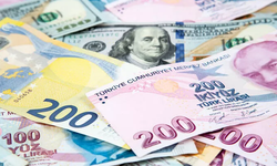 Dolar ve Euro Ne Kadar Oldu? 2 Eylül Döviz Fiyatları