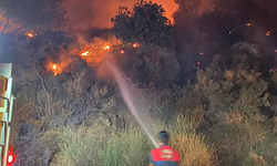 Bodrum’da Makilik Alanda Yangın