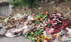 Alanya’da Merdiven Altı Üretime Geçit Yok