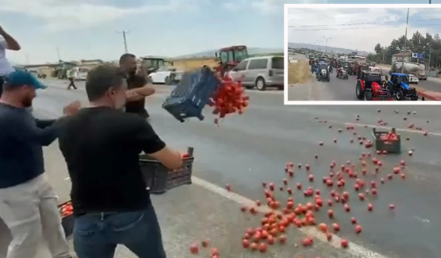 Kahramanmaraş'ta Çiftçiler İsyan Ederek! Kasa Kasa Domatesi Yola Döktüler