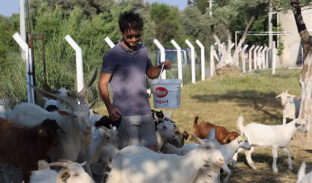 İki Üniversite Mezunu, Yaptığı İşi Duyan Şaşırıyor