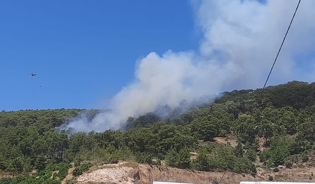 Antalya Kumluca’da Orman Yangını: Havadan ve Karadan Müdahale Sürüyor