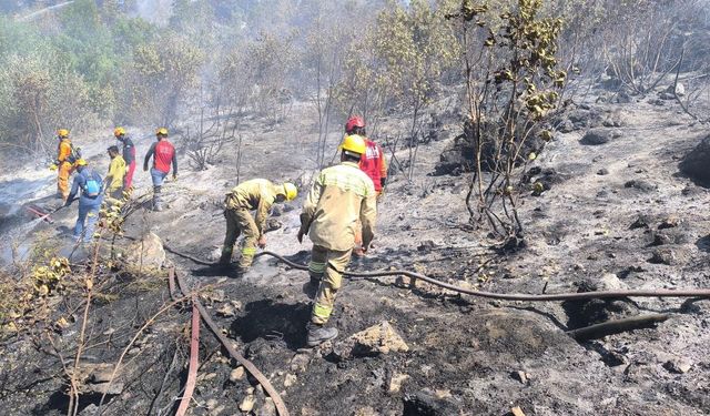 Alanya’da Orman Yangını Kontrol Altında: 12 Hektar Alan Kül Oldu!