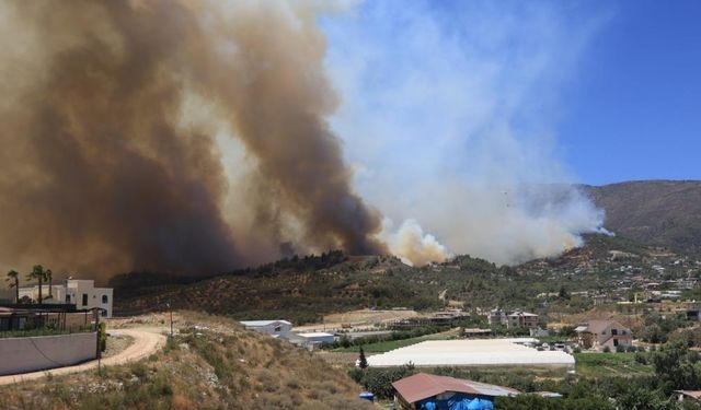 Hatay'da Orman Yangını! Vatandaşların Çığlıkları Kulakları Sağır Etti