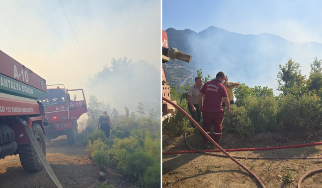 Alanya Ve Aksu’da Orman Yangını: Ekiplerin Müdahalesi Sürüyor