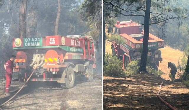 Alanya Kızılalan’da Orman Yangını Alarmı: Rüzgar Alevleri Körüklüyor!