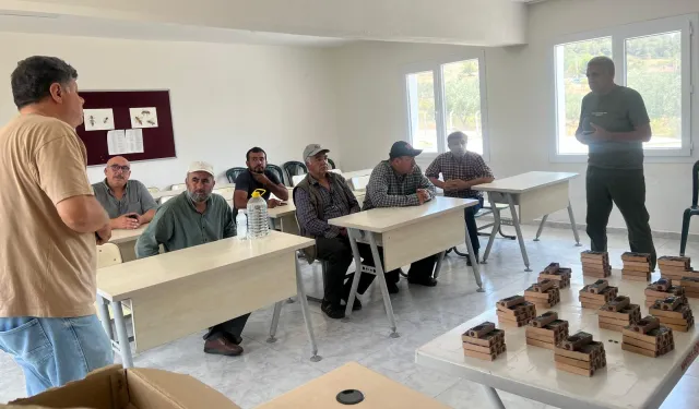 Manisa Büyükşehir'den üreticilere ana arı desteği